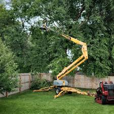 Best Tree Mulching  in Matta, WA