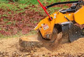 Best Firewood Processing and Delivery  in Matta, WA