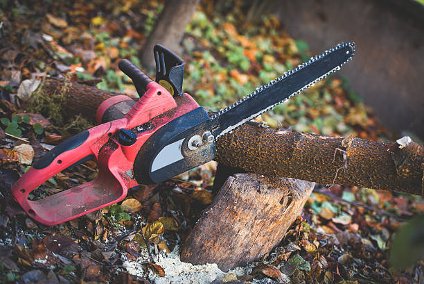 Mattawa, WA Tree Care Company